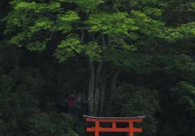 日本語で話してみたいの歌詞 日本语を话す