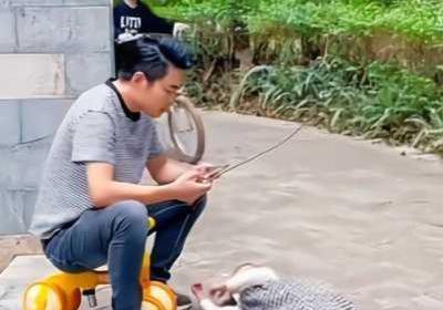 丫头牦户一张一合的背景经历 丫头牦户一张一合是谁写的