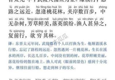 桃花源口水潺潺 老板娘身上的馒头咱也吃的吗