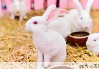 揭晓大白兔上的两颗葡萄 大白兔暗指