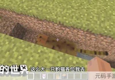 我的世界手机游戏 我的世界手机游戏解说