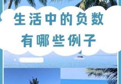 撅好了 撅好了,自己报数,姜朱一龙