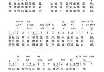 《在我的花园里要燥起来》歌词全分析 在我的小花园里