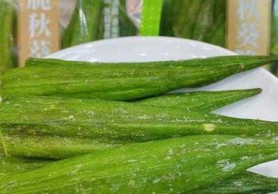 香蕉秋葵菠萝蜜黄瓜丝瓜的不同差异 香蕉秋葵菠萝蜜黄网站