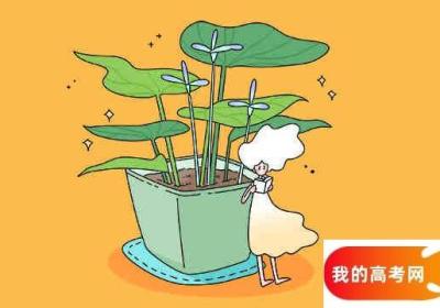 河北高考411分左右的理科大学名单 河北高考441分位次