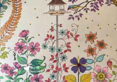 秘密花园探险策略 秘密花园探险策划方案