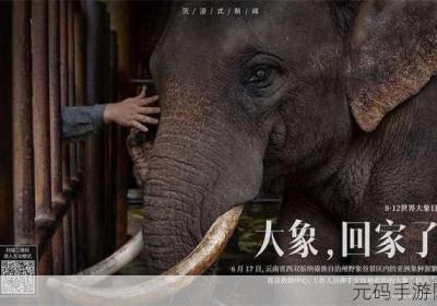 大象回家2022秘密人口 大象回家是好兆头吗?