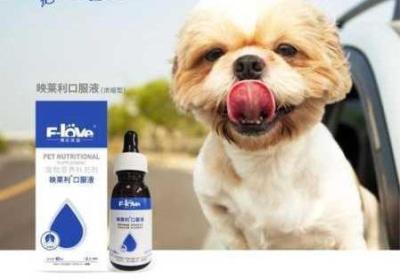 ZoomServo兽狗产品特征深入解读 ZOOMSERVO兽狗产品特点