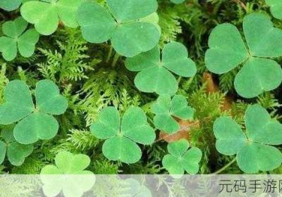 创意成品网站w灬源码三叶草 成品网页