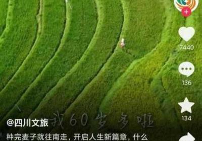 韩国兄弟家的麦子 韩国的兄弟之家